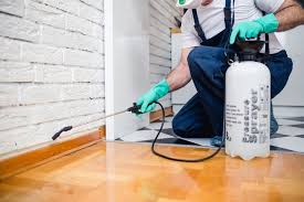 Best Fumigation Services  in St George, UT